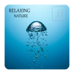 Logo of Relaxing Nature Music android Application 