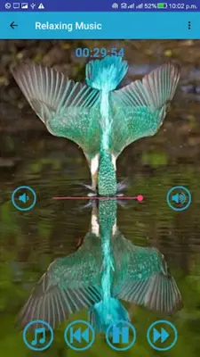 Relaxing Nature Music android App screenshot 1